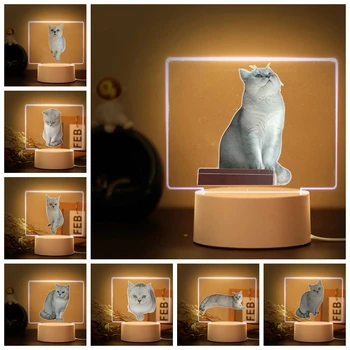 1 gab Gudrs Kaķis nosaukums septembrī 3D Vizuālo Akrila Led Guļamistaba Dekori Bērnu Dāvanu